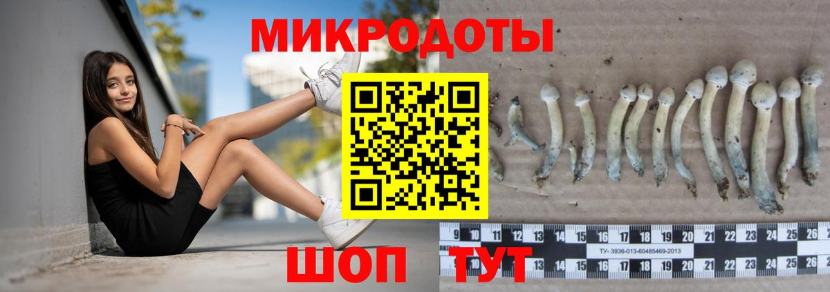 Галлюциногенные грибы Psilocybe  Вход с VPN  Великий Устюг 