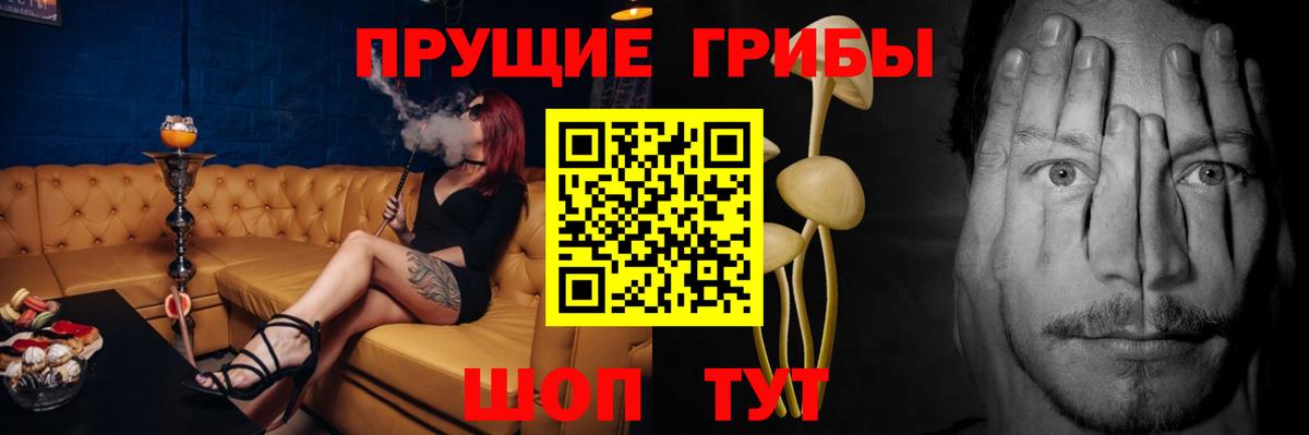 Галлюциногенные грибы мухоморы Великий Устюг